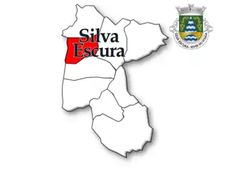 Localização no município de Sever do Vouga