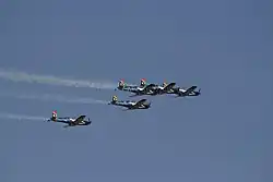 Silver Falcons, a esquadrilha da fumaça sul-africana.