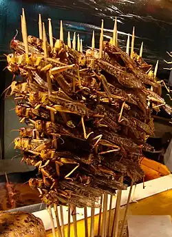 Espetinho de gafanhotos em Pequim, China.