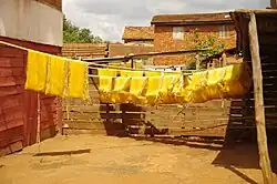 Fibras de seda amarelas penduradas em uma linha ao sol