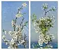 Studies of Hawthorne Bush, Capri