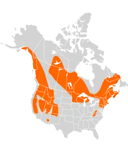 Distribuição do musaranho-d'água americano