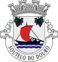 Brasão de armas de Soutelo do Douro