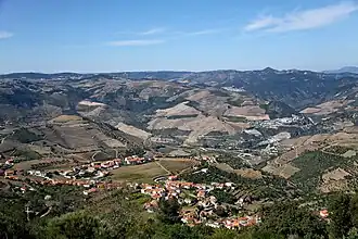 Soutelo do Douro