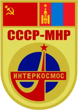 Insígnia da missão