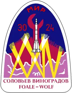 Insígnia da missão