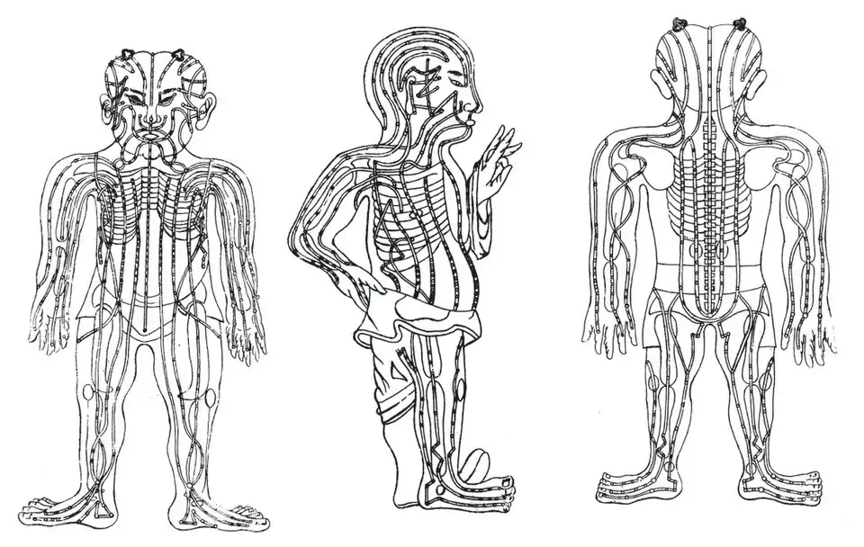 ilustrações do livro de Andreas Cleyer (1634-1698), "Specimen Medicinae Sinicae", 1682