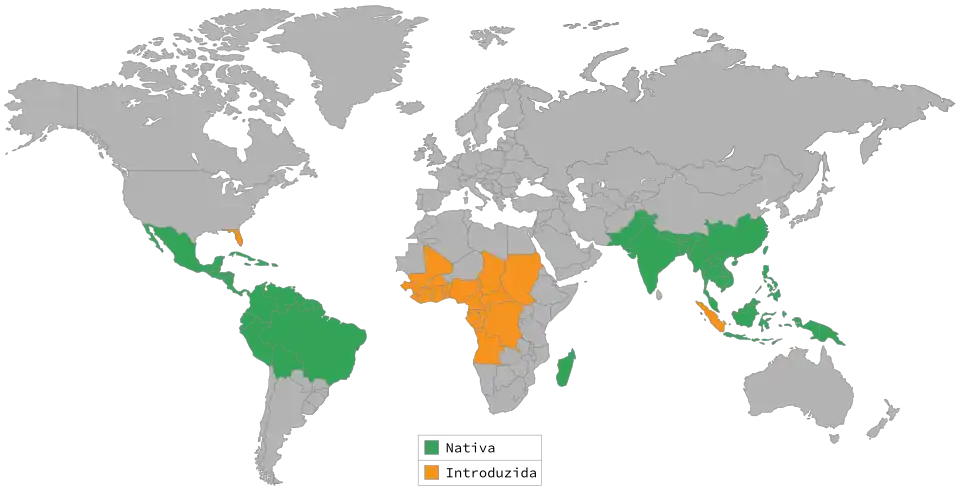 style="padding-bottom:10pt;"