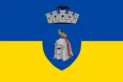 Bandeira de Câmpulung