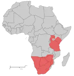 Distribuição territorial do rafícero-campestre, com base em dados da década de 1970
