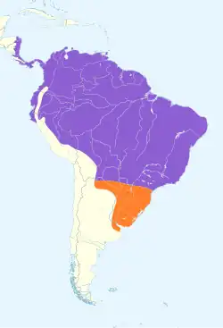 Distribuição geográfica da andorinha-serradora.