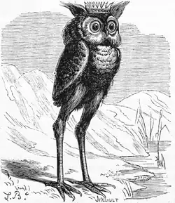 "Stolas, Grande Príncipe do Inferno, conforme ilustrado por Collin de Plancy em seu Dictionnaire Infernal." Se quiser uma versão mais formal ou literária, pode ser: "Stolas, eminente Príncipe do Inferno, representado na célebre obra Dictionnaire Infernal, de Collin de Plancy."