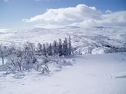 Vista do topo da pista de esqui