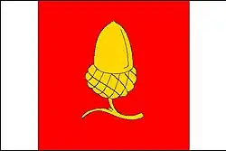 Bandeira de Strachotín