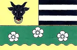 Bandeira de Strachujov