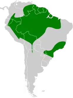 Distribuição da coruja-preta na América do Sul