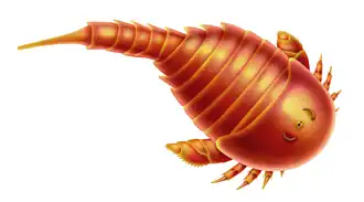 Restauração de vida de S. proteus