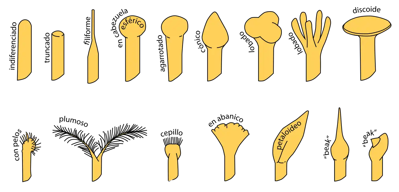 Glossário da APWeb.