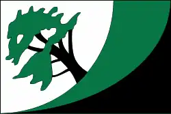 Bandeira de Horní Suchá