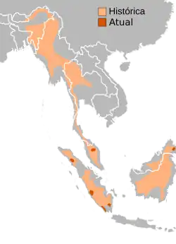 Distribuição geográfica, histórica e atual.[4]