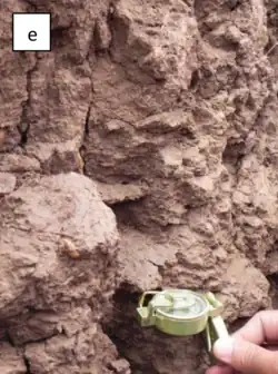 Superfícies de fricção (slickensides) em Vertissolo (Lima, 2014)