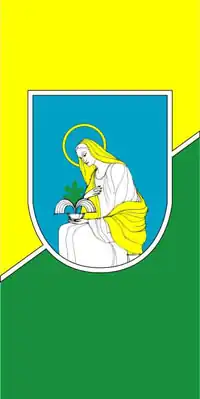 Bandeira de Svaliava