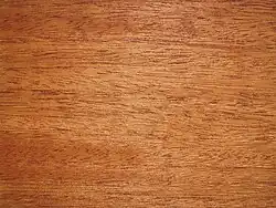 Madeira da espécie Swietenia macrophylla.