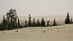 Horizonte de Al-Sukhanah