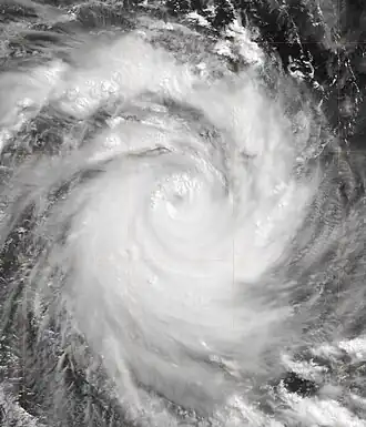 imagem ilustrativa de artigo Ciclone Jaya