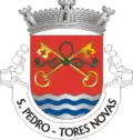 Brasão de armas de São Pedro