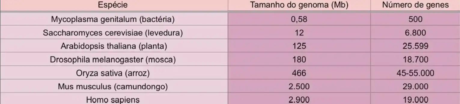 Tabela relacionando a espécie com o tamanho do genoma (em mega pares de base) e número de genes.