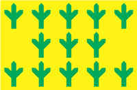 Bandeira oficial de Taheva