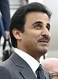 Catar Tamim bin Hamad Al Thani, Emir