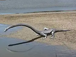 O Dinocephalosaurus e seu parente próximo Tanystropheus, mostrado aqui, evoluíram seus pescoços longos convergentemente.