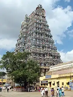Árvore cadamba na entrada do templo Meenakshi, Madurai, Tamil Nadu, Índia.