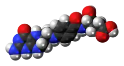 Space-filling model of the tetrahydrofolic acid molecule