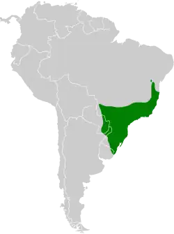 Mapa com a distribuição geográfica do beija-flor-de-fronte-violeta (Thalurania glaucopis).
