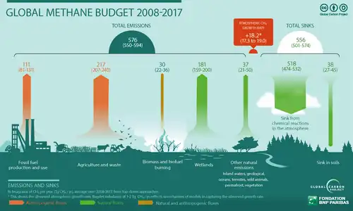 Principais fontes de emissões globais de metano (2008–2017) segundo o Projeto Global de Carbono.[1]