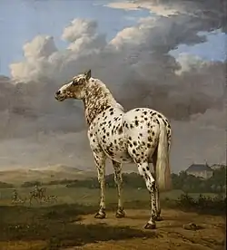 O Cavalo Piecald (c. 1650–1654)