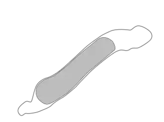 Esboço de uma Thermotoga maritima mostrando a "toga"