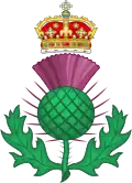 O cardo, flor nacional da Escócia.