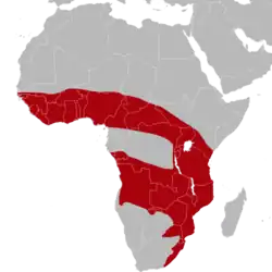 Distribuição geográfica da ratazana-do-capim.