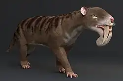 reconstrução de Thylacosmilus