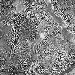 Vista aérea de um planalto de mata-tigre no Níger