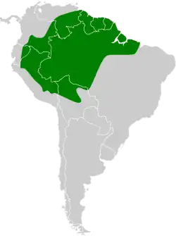 Distribuição do bico-chato-da-copa na América do Sul