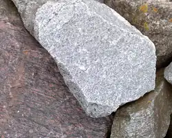 Bloco de tonalito, rocha ígnea clara com textura granular visível.