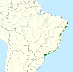 Distribuição do apuim-de-cauda-amarela