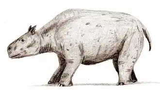 Toxodon, um meridiungulado