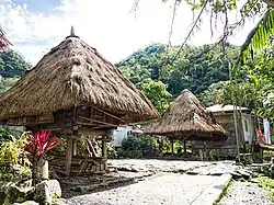 As casas de fardos elevadas do povo Ifugao com estacas cobertas[51]