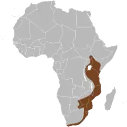 Território da imbabala